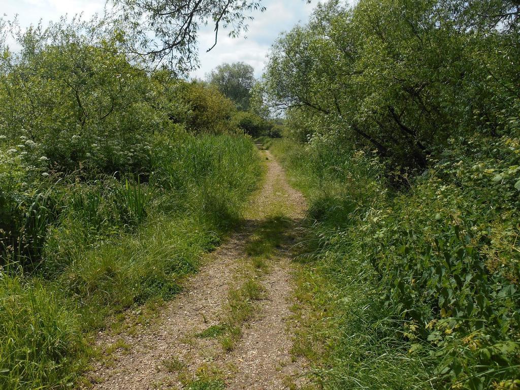 Shirley Apartments, Cozy Studio, Self Check In, 10 Min Drive To City Centre, Walking To Redbridge Train Station Southampton Kültér fotó
